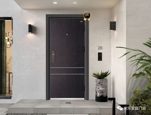 歡樂家庭門業(yè)2020年高端防護安全門最新樣品賞析